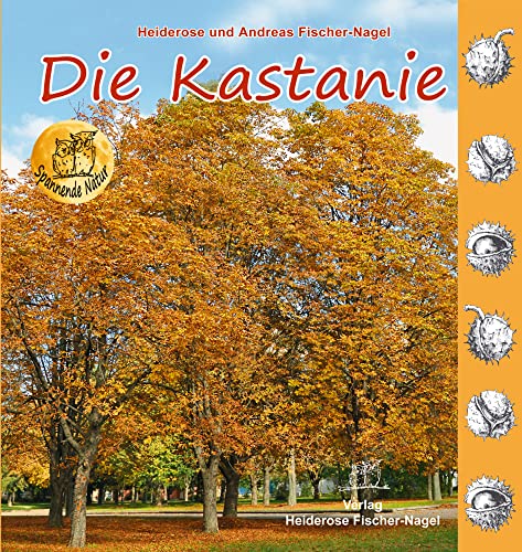 Die Kastanie