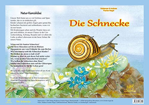 Natur-Kamishibai / Die Schnecke - Natur-Kamishibai: Natur-Kamishibai von Fischer-Nagel, Heiderose