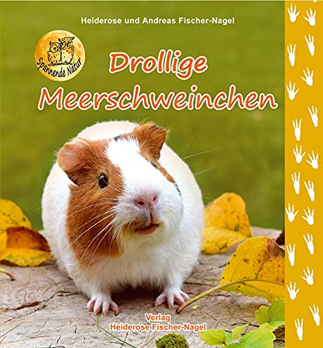 Drollige Meerschweinchen von Fischer-Nagel, Heiderose