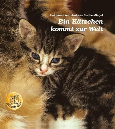 Ein Kätzchen kommt zur Welt Ein Kätzchen kommt zur Welt