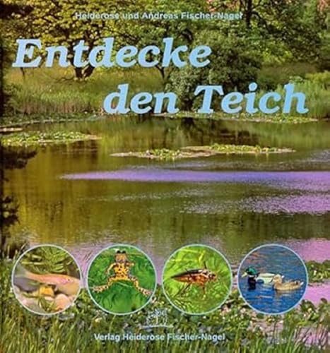 Entdecke den Teich Entdecke den Teich