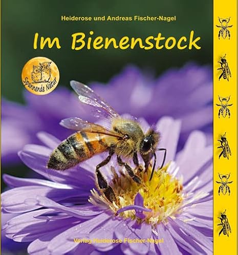 Im Bienenstock (Spannende Natur)