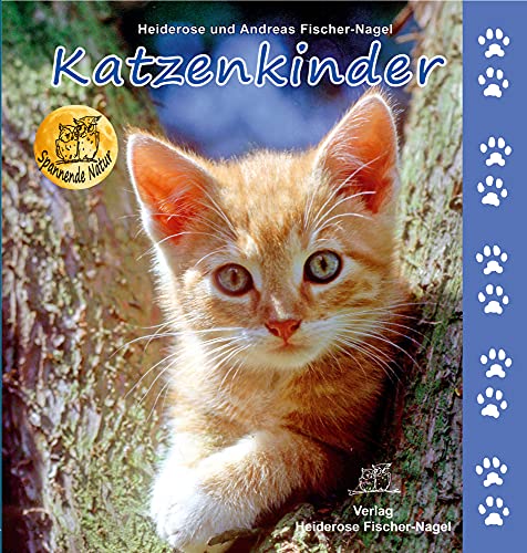 Katzenkinder