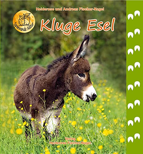 Kluge Esel: Bilderbuch