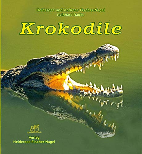 Krokodile Krokodile