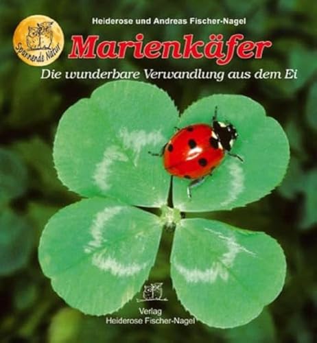 Marienkäfer: Die wunderbare Verwandlung aus dem Ei Marienkäfer: Die wunderbare Verwandlung aus dem Ei