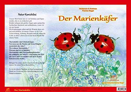 Natur-Kamishibai / Natur-Kamishibai - Der Marienkäfere: Natur-Kamishibai