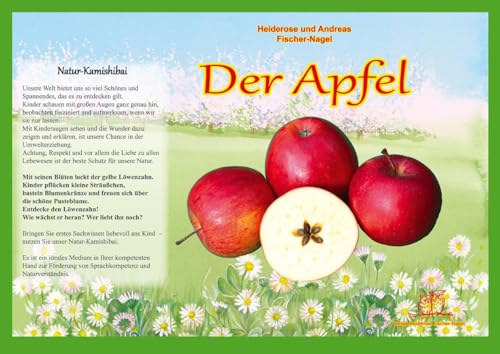 Natur-Kamishibai / Naturkamishibai - Der Apfel: Naturkamishibai von Fischer-Nagel, Heiderose
