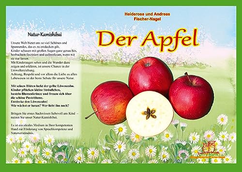 Natur-Kamishibai / Naturkamishibai - Der Apfel: Naturkamishibai von Fischer-Nagel, Heiderose