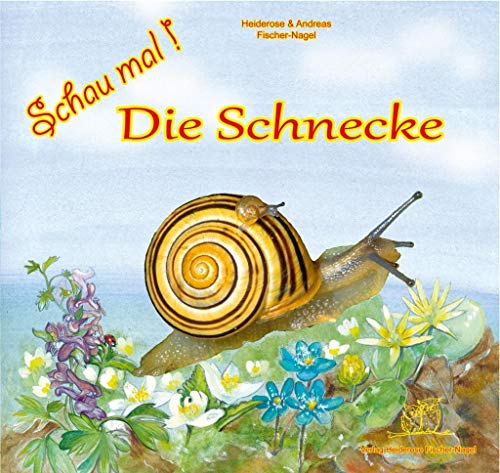 Schau mal ! / Schau mal! Die Schnecke von Fischer-Nagel, Heiderose