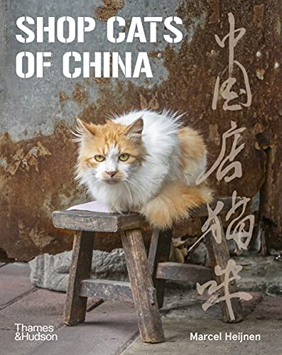 Shop Cats of China von Thames & Hudson