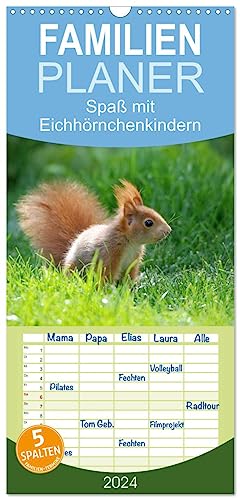 Familienplaner 2024 - Spaß mit Eichhörnchen-Kindern mit 5 Spalten (Wandkalender, 21 cm x 45 cm) CALVENDO