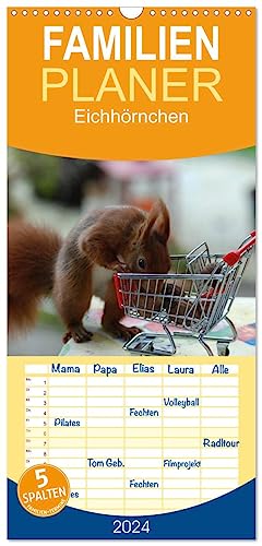 Familienplaner 2024 - Spaß mit Eichhörnchen! mit 5 Spalten (Wandkalender, 21 cm x 45 cm) CALVENDO