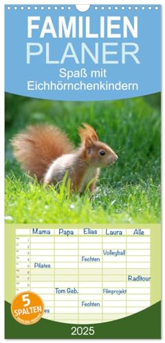 Familienplaner 2025 - Spaß mit Eichhörnchen-Kindern mit 5 Spalten (Wandkalender, 21 cm x 45 cm), CALVENDO von CALVENDO