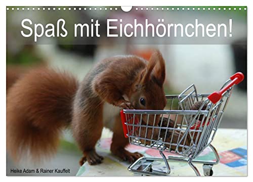 Spaß mit Eichhörnchen! (Wandkalender 2025 DIN A3 quer), CALVENDO Monatskalender