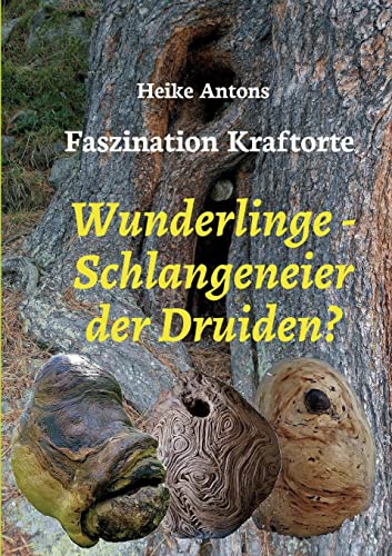 Wunderlinge - Schlangeneier der Druiden?: Faszination Kraftorte