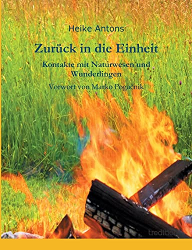 Zurück in die Einheit: Kontakte mit Naturwesen und Wunderlingen