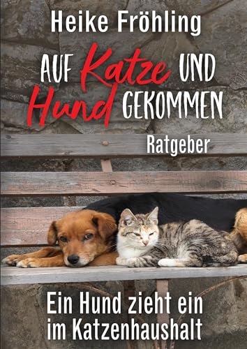 Auf Katze und Hund gekommen: Ein Hund zieht ein im Katzenhaushalt