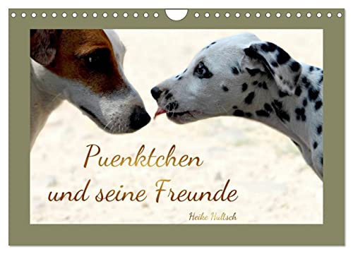 Pünktchen und seine Freunde (Wandkalender 2024 DIN A4 quer), CALVENDO Monatskalender