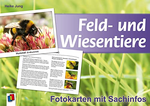 Feld- und Wiesentiere: Fotokarten mit Sachinfos