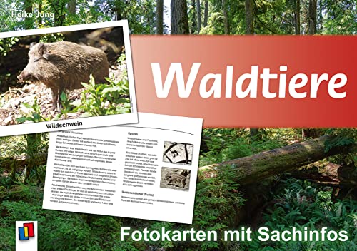 Waldtiere: Fotokarten mit Sachinfos