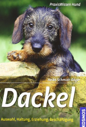 Dackel: Auswahl, Haltung, Erziehung, Beschäftigung