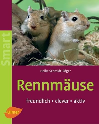 Rennmäuse: Freundlich - clever - aktiv (Smart Tierbuch)