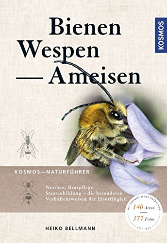 Bienen, Wespen, Ameisen: Staatenbildende Insekten Mitteleuropas