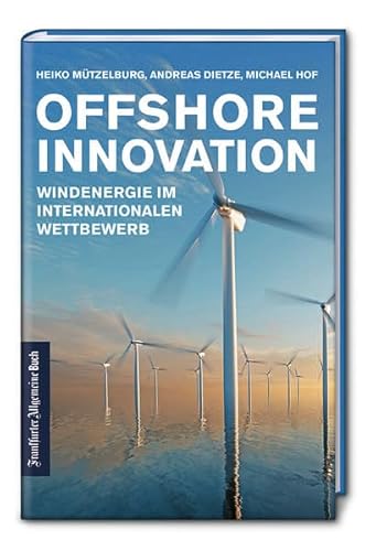 Offshore Innovation: Windenergie im internationalen Wettbewerb. Wie mittelständische Unternehmen durch erneuerbare Energien und innovative ... schützen und nachhaltiger werden können.