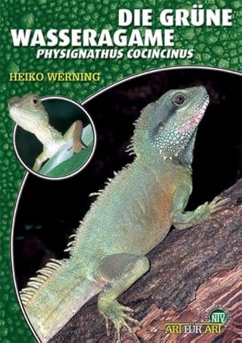Die Grüne Wasseragame: Physignathus cocincinus (Buchreihe Art für Art Terraristik) von NTV Natur und Tier-Verlag