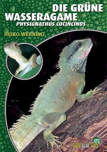 Die Grüne Wasseragame: Physignathus cocincinus (Buchreihe Art für Art Terraristik)