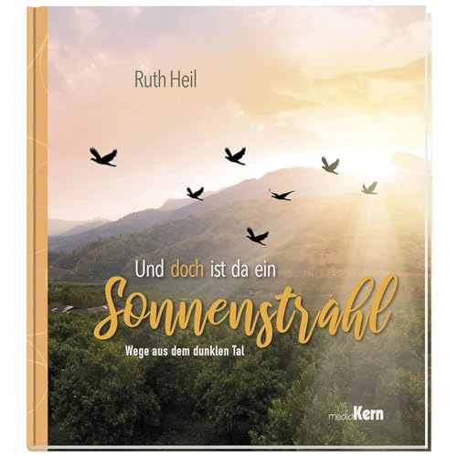 Und doch ist da ein Sonnenstrahl: Wege durch das dunkle Tal Und doch ist da ein Sonnenstrahl: Wege durch das dunkle Tal