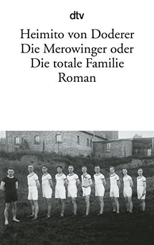 Die Merowinger oder Die totale Familie: Roman von dtv Verlagsgesellschaft