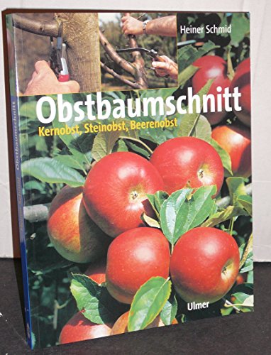 Obstbaumschnitt