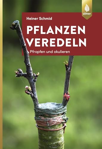 Pflanzen veredeln: Pfropfen und Okulieren