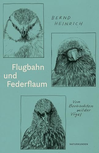 Flugbahn und Federflaum: Vom Beobachten wilder Vögel (Naturkunden) von Matthes & Seitz Verlag