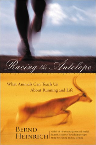 Racing the Antelope: What Animals Can Teach Us About Running and Life von Ecco