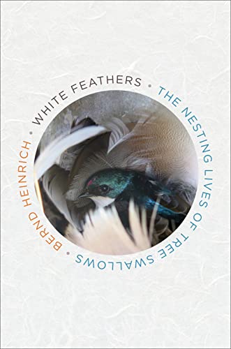 White Feathers: The Nesting Lives of Tree Swallows White Feathers: The Nesting Lives of Tree Swallows