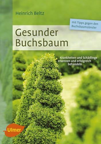 Gesunder Buchsbaum: Krankheiten und Schädlinge erkennen und erfolgreich behandeln