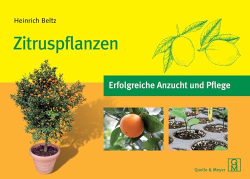 Zitruspflanzen: Erfolgreiche Anzucht und Pflege