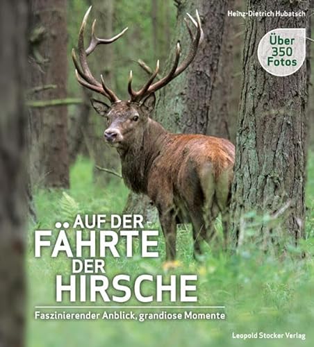 Auf der Fährte der Hirsche: Faszinierender Anblick, grandiose Momente von Stocker Leopold Verlag