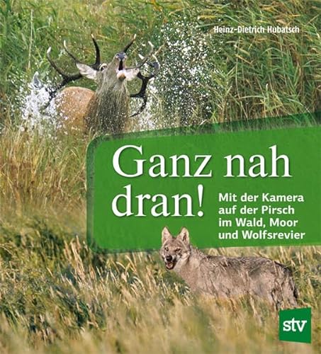 Ganz nah dran!: Mit der Kamera auf der Pirsch im Wald, Moor und Wolfsrevier von Stocker Leopold Verlag