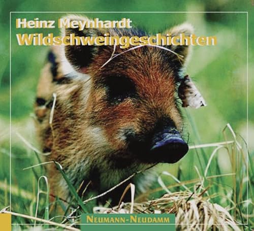 Wildschweingeschichten