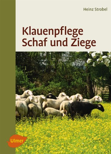 Klauenpflege Schaf und Ziege