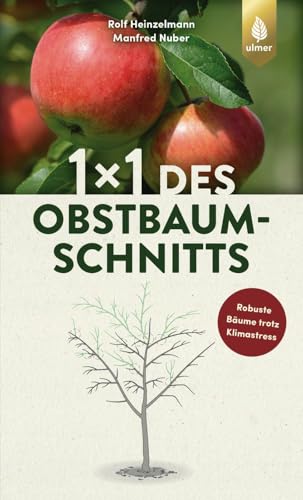 1 x 1 des Obstbaumschnitts: Bild für Bild