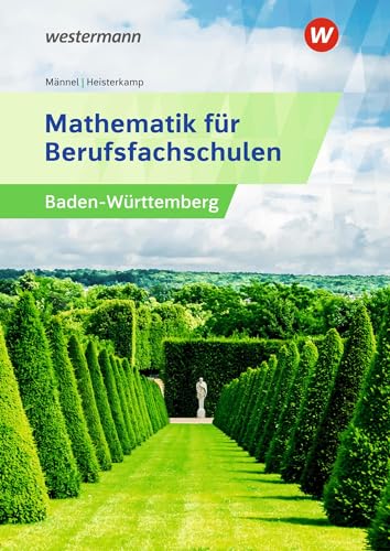 Mathematik für Berufsfachschulen: Schülerband (Mathematik für Berufsfachschulen: Algebra und Geometrie) von Bildungsverlag Eins GmbH