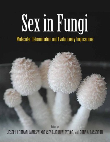 Sex in Fungi: Molecular Determination and Evolutionary Implications von ASM Press