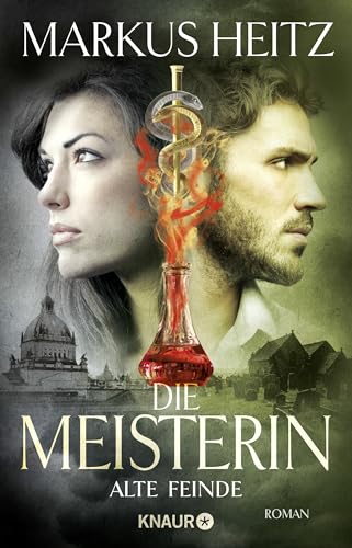 Die Meisterin: Alte Feinde: Roman