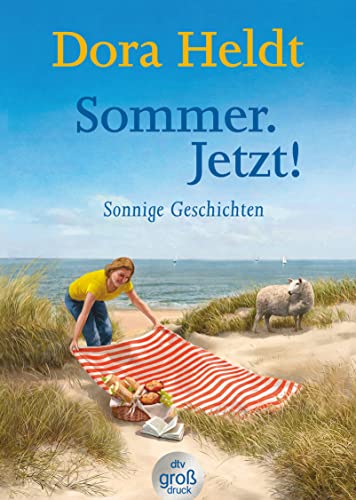 Sommer. Jetzt!: Sonnige Geschichten (dtv großdruck)