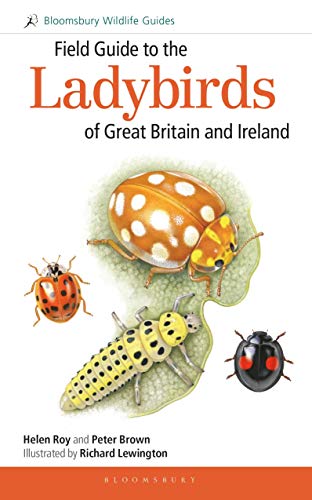 Field Guide to the Ladybirds of Great Britain and Ireland (Bloomsbury Wildlife Guides)